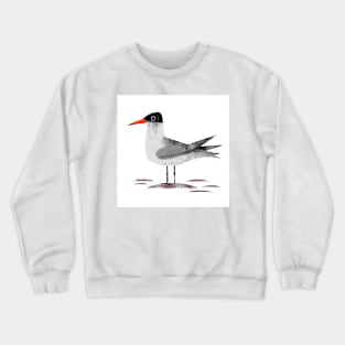 Caspian Tern Crewneck Sweatshirt